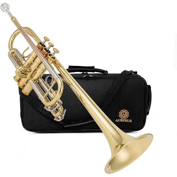 KGU music ブースター ローブラス 美品 Amazon.com: Trumpet Mouthpiece Booster by KGU Music. Custom