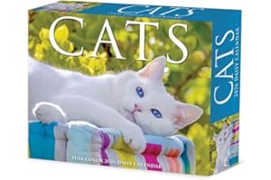 Willow Creek Press, Cats 2026 Desk Calendar, 6.18'' X 5.43'', Daily Calendar with Adhesive Binding