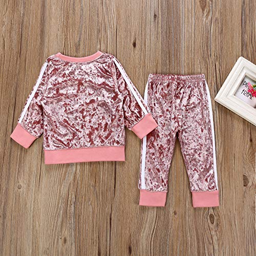 2Pcs Baby Girls Boys Velvet Long Sleeve Blouse Tops + Long Pants Outfits Set Coral Fleece Fall Winter Clothes (Pink, 110 (3-4T))