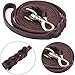 Taglory Premium Leather Dog Leash 6 Foot x 5/8 Inch, Braided Latigo Leather Training Leashes for Medium and Large Dogs, Brown