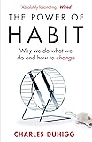 The Power of Habit: Why We Do What We Do, and How to Change