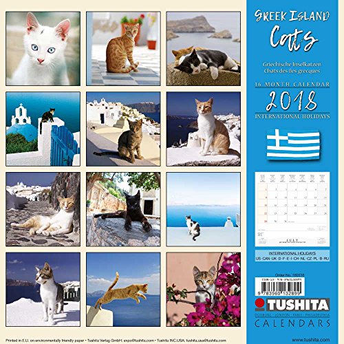 Greek Island Cats (180316) (Wonderful World)