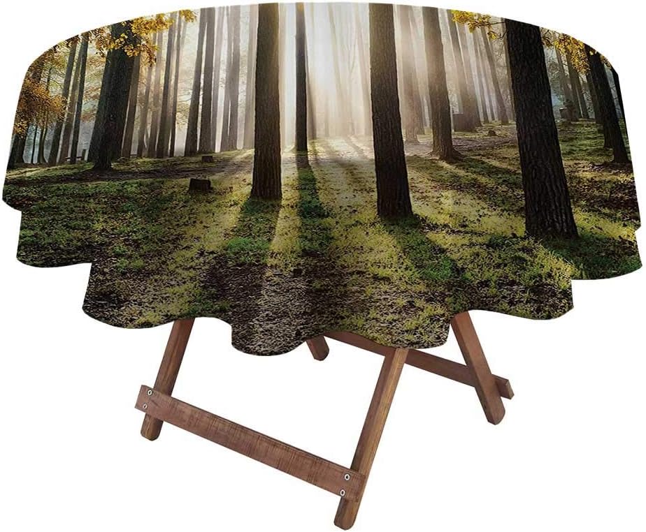 Amazon Com Table Cloth Farm House Decor For Picnic Party Patio Table Camping Landscape Sunrise In The Forest Leaves In Golden Colors Seasonal Scenery Photo 70 Diameter Gold Green Brown Home Kitchen