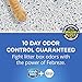 Fresh Step Multi-Cat Scented Litter with the Power of Febreze, Clumping Cat Litter, 34 Pounds (Package May Vary) (Package May Vary)