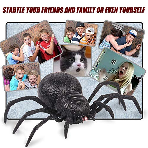 Fiaya Halloween Remote Control Spider Scary Wolf Spider Robot Realistic Novelty Prank Toys Gifts