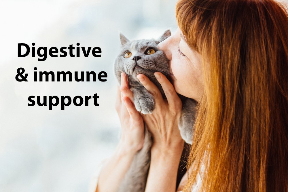 DrFormulas Nexabiotic Probiotics for Cats Powder Treats Diarrhea for