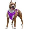 thumbnail image 2 of Rabbitgoo Dog Harness For Large Dogs No Pull, L Handle, For Easy Walking And Training, Purple, XL 2 of 12