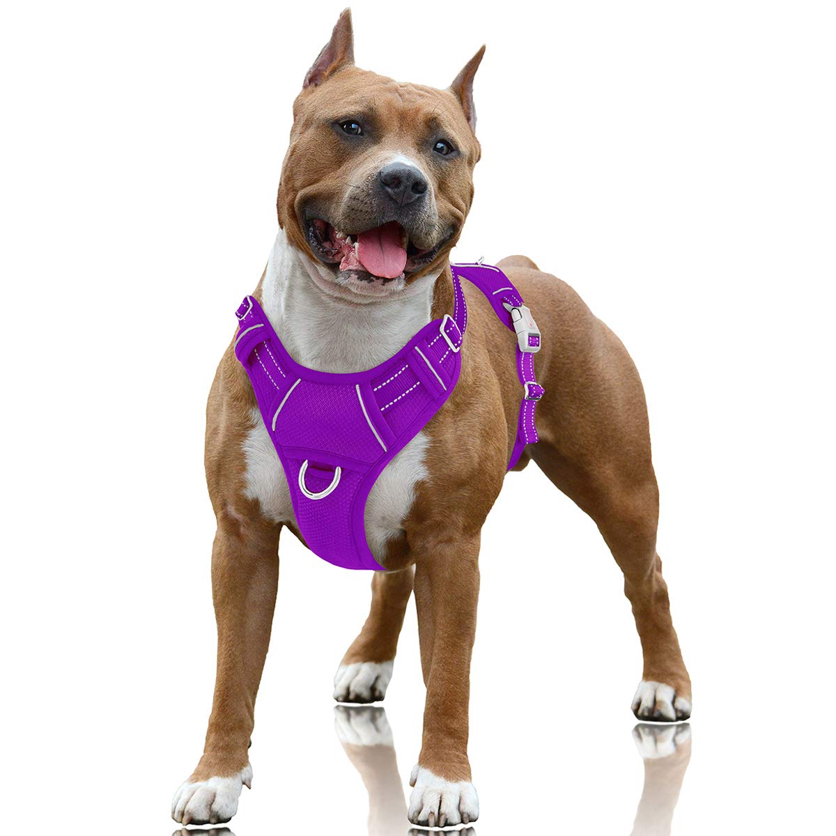Photo 1 of BARKBAY No Pull Dog Harness Large Reflective Dog Harness with Front Clip and Easy Control Handle for Walking Training Running with ID tag Pocket(Purple,L)