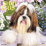Just Shih Tzus 2017 Wall Calendar (Dog Breed Calendars) by