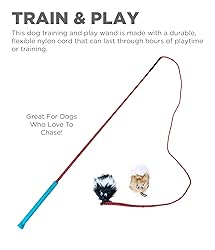 Outward Hound Tail Teaser Durable Dog Wand with