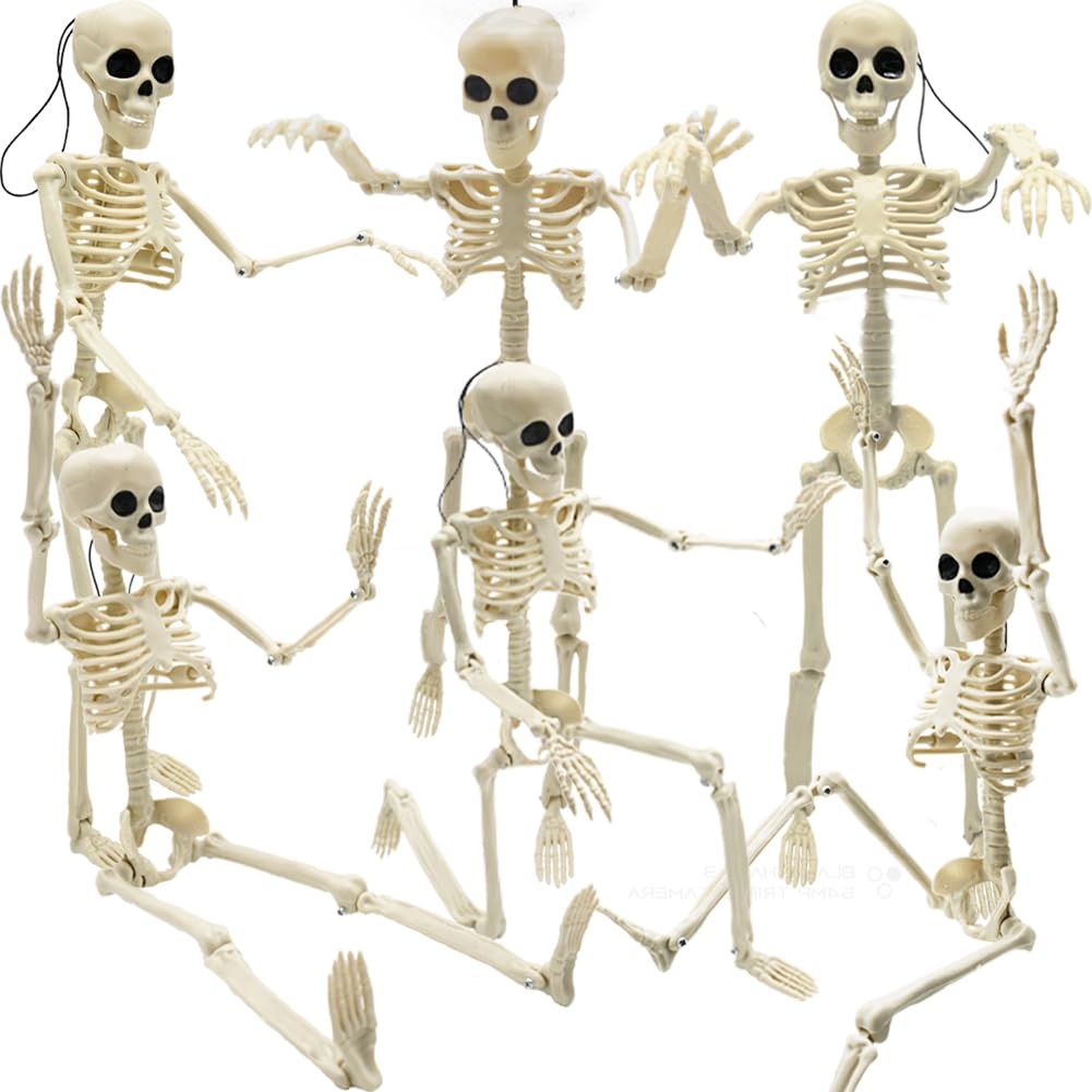 Photo 1 of CAMIRUS 6PCS Skeleton Halloween Decorations, 16 in Full Body Poseable Small Skeleton Plastic Bones with Movable Posable Joints for Halloween Indoor Outdoor Party, Graveyard, Haunted House Accessories