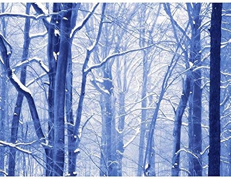 Amazon Com Doppelganger33 Ltd Photo Painting Winter Forest Scene Large Art Print Poster Wall Decor 18x24 Inch Posters Prints