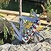Victorinox Swiss Army Multi-Tool, Fieldmaster Pocket Knife