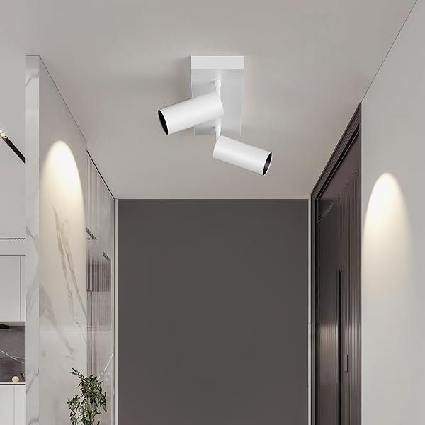 SPOTLIGHT INDOOR CEILING LED LIGHT,2 LIGHTS 40W MODERN SPOT LIGHT FIXTURES 4000K WHITE ACCENT 300°ADJUSTABLE PICTURE PAINTING FOR LIVING ROOM BEDROOM HALLWAY GALLERY FLUSH MOUNT DIRECTIONAL LIGHTING