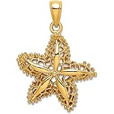 JewelryWeb 14k Gold Sea shell Nautical Starfish High Polish and Cut-out Filigree Charm 28x21.5mm Wide 3.8mm Thick Pendant Necklace for Women