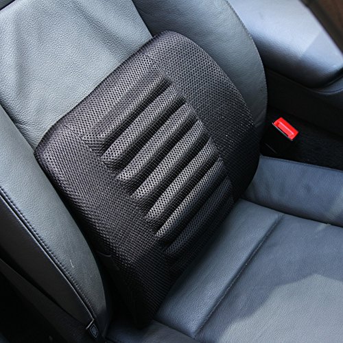 LOCEN Relief Lumbar Muscles Cushion Lower Back Pain Comfort Support Pillow - Perfect for Car Office Chair Home Sofa (Black)