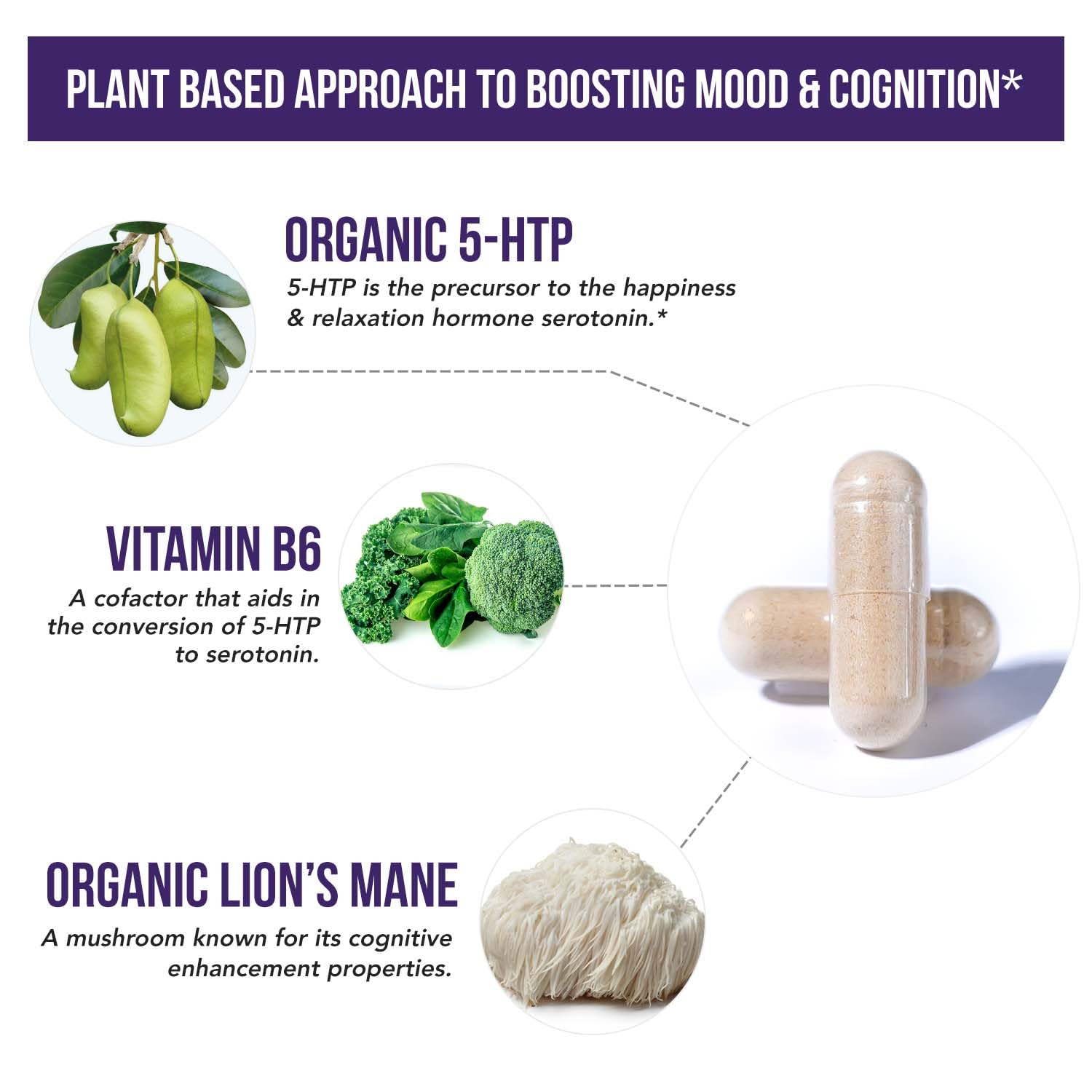 Organic 5-HTP - 200 mg | 99% 5HTP Concentration, Plus Cofactor Vitamin B6 & Lion’s Mane | Water Extracted from Organic Griffonia Seeds | Supports Mood, Cognition & Sleep (60 Capsules | 30 Servings)