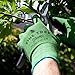 Pine Tree Tools Gardening Gloves for Women & Men, Bamboo Made Mesh Type Washable Premium Material, Textured Rubber Gloves Coating for Superior Grip w/Snug-Wrist Feature & Reinforced Finger Tips - XXL