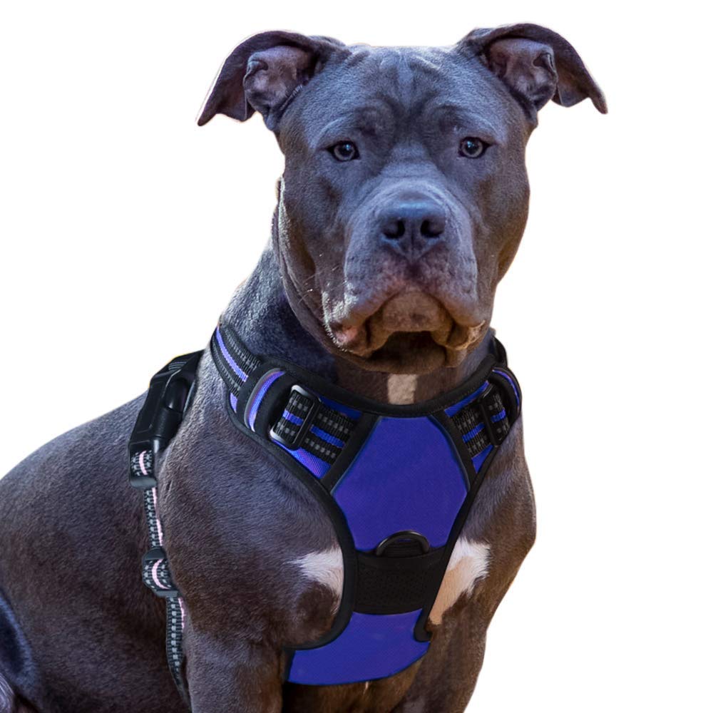 rabbitgoo Hundegeschirr Welpen Verstellbar Geschirr Hund Auto Dog L (L