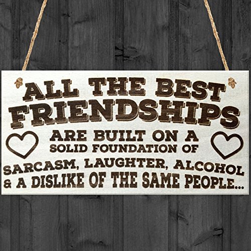 Red Ocean All The Best Friendships Are Built On A Solid Foundation Of Sarcasm, Laughter, Alcohol & A Dislike Of The Same People Novelty Hanging Wooden Plaque Best Friends Funny Gift Sign