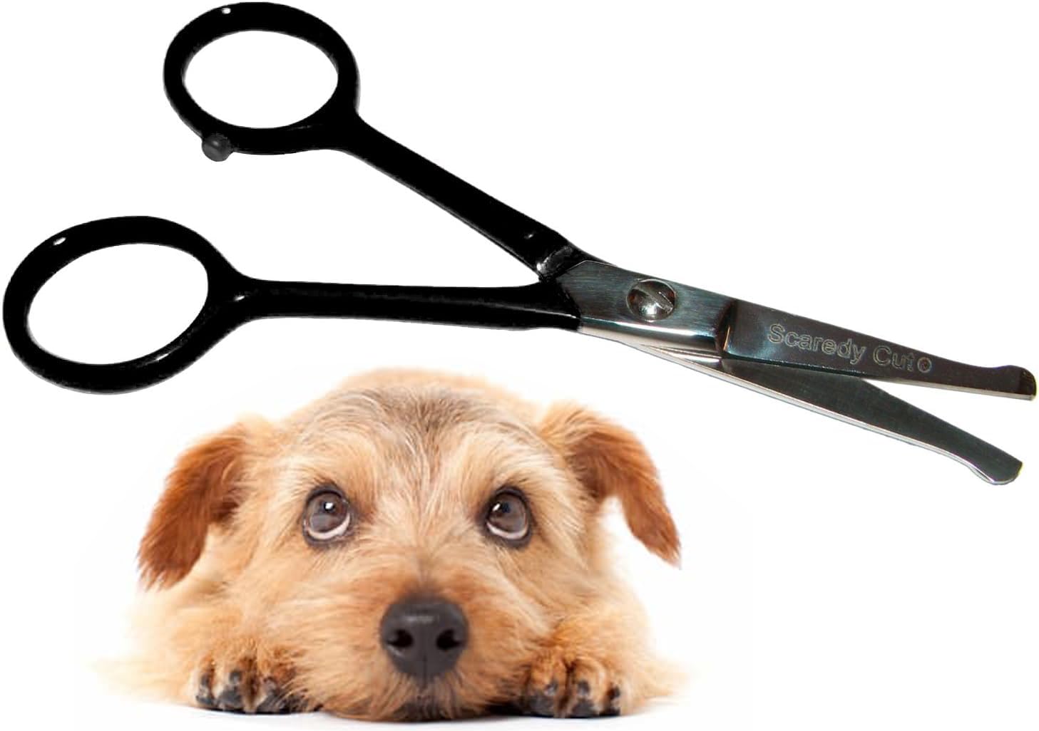 Tiny Trim™ - Ball-Tipped Small Pet Grooming Scissor - 4.5" Ear, Nose, Face, Paw - for Cats, Dogs, Pets - Black