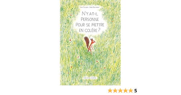 Amazon Com N Y A T Il Personne Pour Se Mettre En Colere Boutavant Marc Tellegen Toon Books