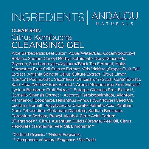 Andalou Naturals Cleansing Gel, Citrus Kombucha, 6 Fl Oz