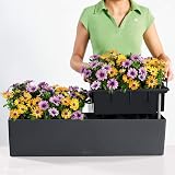 Lechuza Balconera Color 80 Light Gray Planter with Irrigation System view 2