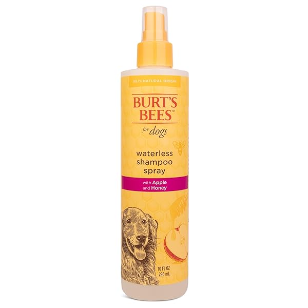 BURT’S BEES FOR PETS WATERLESS SHAMPOO SPRAY FOR DOGS WITH APPLE AND HONEY, 99.1% NATURAL ORIGIN FORMULAS, WATERLESS DOG SHAMPOO – GENTLE DRY SHAMPOO FOR DOGS, BEST DOG SHAMPOO, 10 OZ