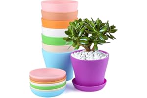 KINGLAKE 8 Pcs 4" Plastic Plant Flower Seedlings Nursery Pot/Pots Planter Colorful Flower Plant Container Seed Starting Pots with Pallet and Drainage Holes for Home Garden Flowers Plants,8 Colors