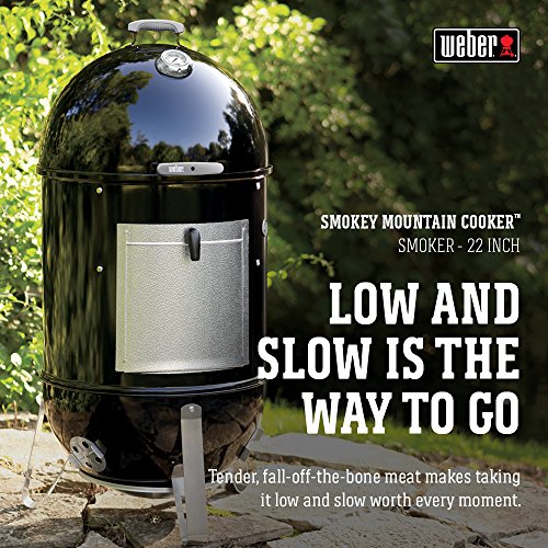 weber smokey mountain 22 charcoal basket