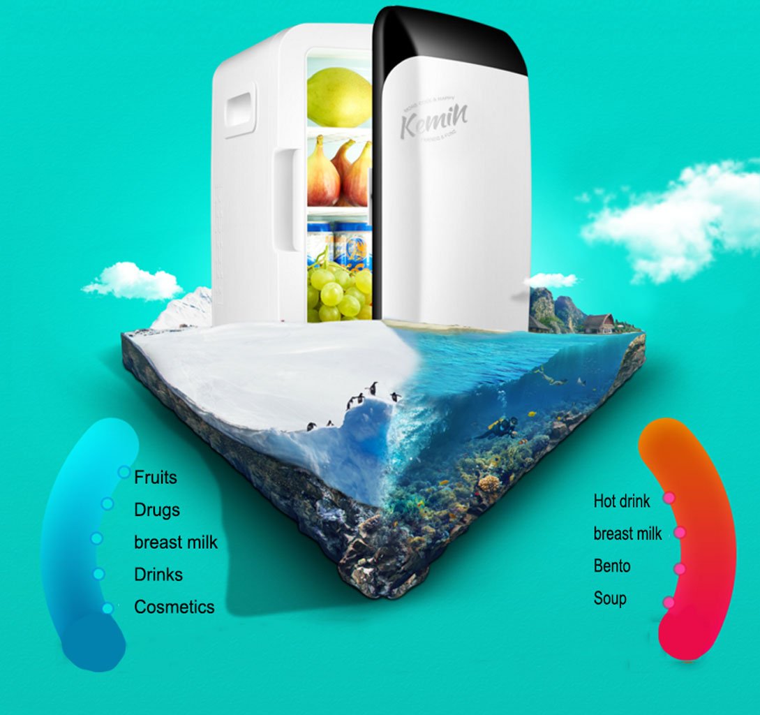 Amazon.es: Refrigerador de coche 10L frigorífico portátil Mini ...