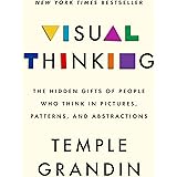 Visual Thinking: The Hidden Gifts of People Who Think in Pictures, Patterns, and Abstractions
