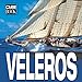 Veleros/ Sailing Boats (Cube Books) (Spanish Edition) by