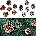 FunPa Pine Cones for Christmas Tree Decorations - 72Pcs Decorating Pinecones with Lanyard for Garland Thanksgiving Halloween Xmas Tree Ornaments