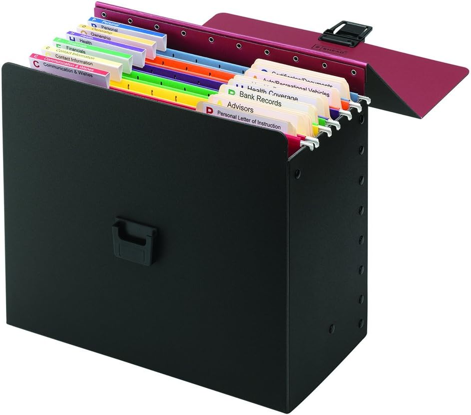Smead Life Documents Organizer Kit (92010)