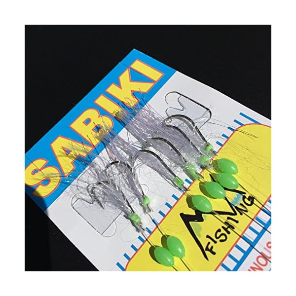 Mizugiwa-10-Packs-Freshwatersaltwater-Fishing-Sabiki-Bait-Rigs-Fish-Feather-4-Hooks