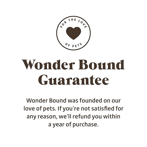 WONDER BOUND PEANUT BUTTER FLAVOR DOG TWIST STICKS – 55 COUNT – RAWHIDE-FREE DOG TREATS, DENTAL HEALTH CHEWS FOR PLAQUE & TARTAR CONTROL, EASY TO DIGEST, LONG-LASTING