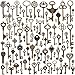 Keyzone 100 Pcs Vintage Antique Bronze Mixed Skeleton Key Charms Pendants DIY for Jewelry Making and Handmaking