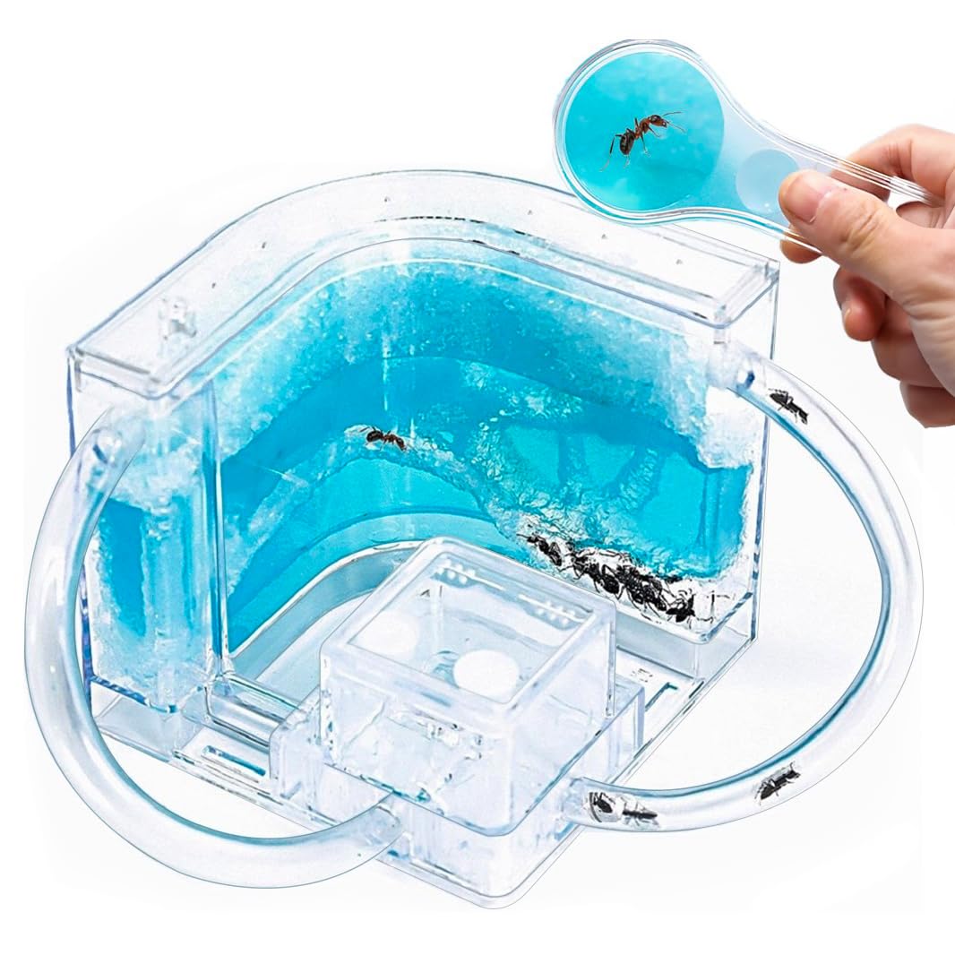 Photo 1 of NAVADEAL Ant Farm Castle 2.0 with Connecting Tube, Ant Habitat Science Learning Kit, Best STEM 2021 Educational Kids Toy, Study Insect Behavior at Home & School, Plant Based Blue Gel 3D Maze Ecosystem