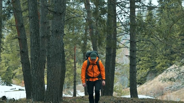 Thumbnail 33
