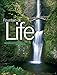 Fountain of Life: Encountering Christ in the Sacraments and Throughout Life