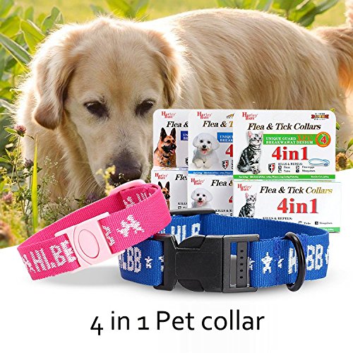 Pet collar natural pest control collar for small dogs and cat can kill parasites (For Cat)