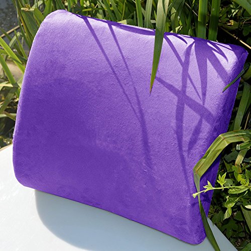 Bookishbunny Premium Memory Foam Lumbar Support Cushion Pillow (Purple)
