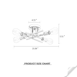ZGLAOJT4-Lights Ceiling Light Fixture，Chrome