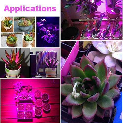 10W LED Grow Light, Venoya Desk Grow Lamp for Indoor Plants, Grow Light 8 Levels Dimmable with Flexible Gooseneck and Metal Clip for Bonsai, Pot Plant, Hydroponics, Horticultural Garden