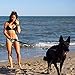 Black Rhino Heavy Duty Dog Leash for Medium and Large Dogs - 6 ft Long Double Handle Leash with Padded Traffic Control Handles and Bag for Comfort - Reflective, Durable, and Weather Resistant (Aqua)