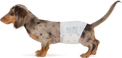 Amazon Basics pañales desechables para perros machos, tamaño pequeño — Higiene y limpieza