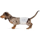 鶹 Basics Male Dog Diapers, 30 Count, Small, Ultra Absorbent Disposable Wrap with Secure Fit, Leakproof and Comfortable
