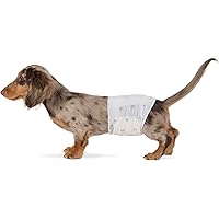 鶹 Basics Male Dog Diapers, 30 Count, Small, Ultra Absorbent Disposable Wrap with Secure Fit, Leakproof and Comfortable
